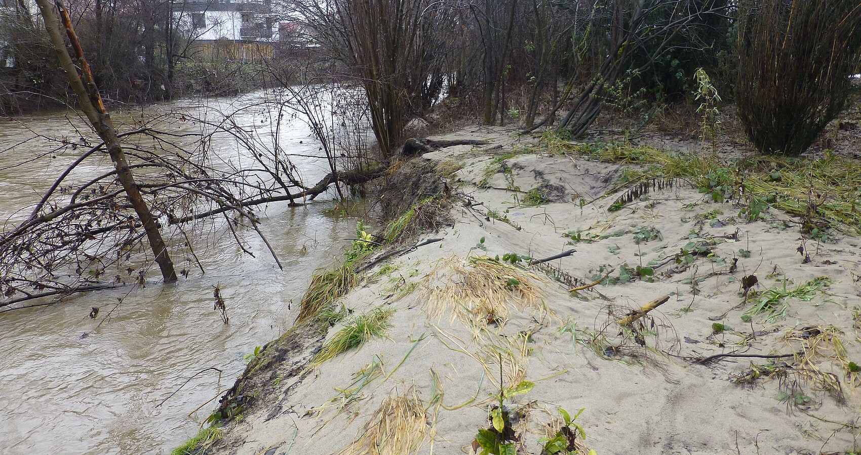 Schussen bei Brochenzell und Gestrück und Unrat am Ufer nach Hochwasser im Januar 2021