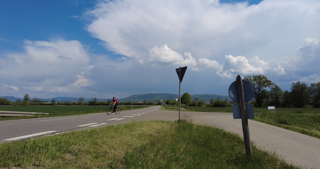 Fahrradfahrer auf der Straße zwischen Friesenheim und Kürzell