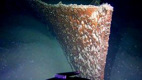 Nahaufnahme vom Bug des Rumpfes der SD Friedrichshafen II am Grund des Bodensees, von Steuerbord. Im Vordergrund der Greifarm des Unterwasserroboters 