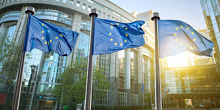 Flaggen der Europäischen Union vor dem Parlament in Brüssel