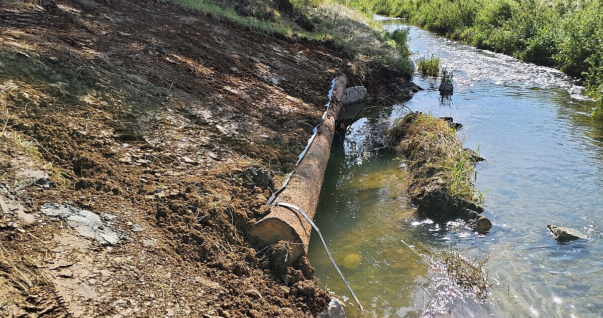 Fischunterstand am Fluss Klingengraben bei Erzingen (Klettgau, Wt)