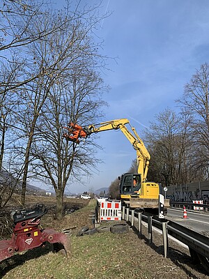 Ein Bagger, der mit einem Spezialwerkzeug Bäume neben einer Straße bearbeitet.