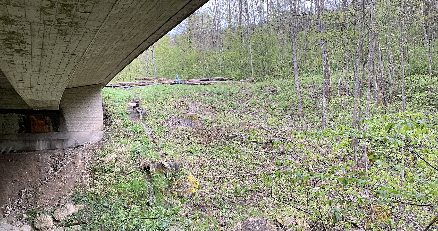 Das Foto zeigt die Eyachbrücke von unten. Im Hintergrund Wald