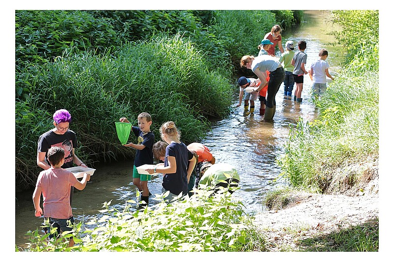 Kinder und Ökomobil-Team befinden sich in einem Bach und suchen mit Kescher und Schalen nach Gewässertieren