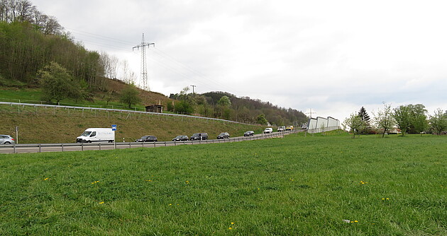 Bild zeigt eine Straße mit Kraftfahrzeugen, im Vordergrund eine Wiese