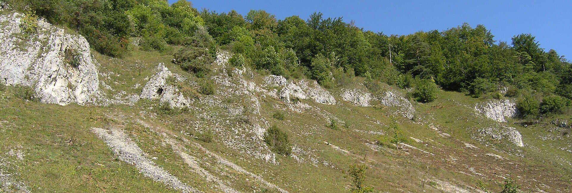 Blick auf einen steilen Hang mit Felsen