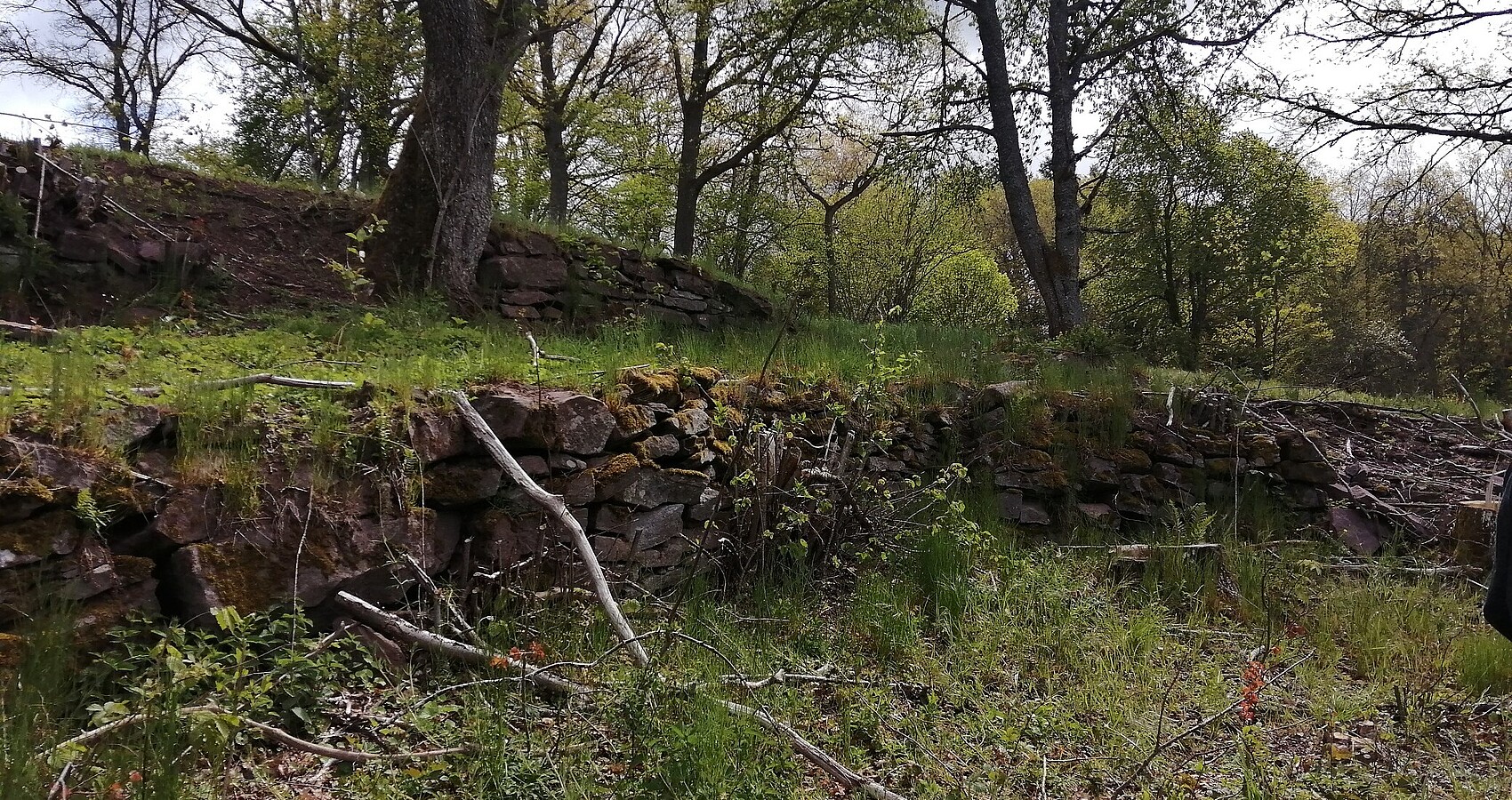 Das Bild zeigt eine Steinmauer inmitten von Gras und Gestrüpp. 
