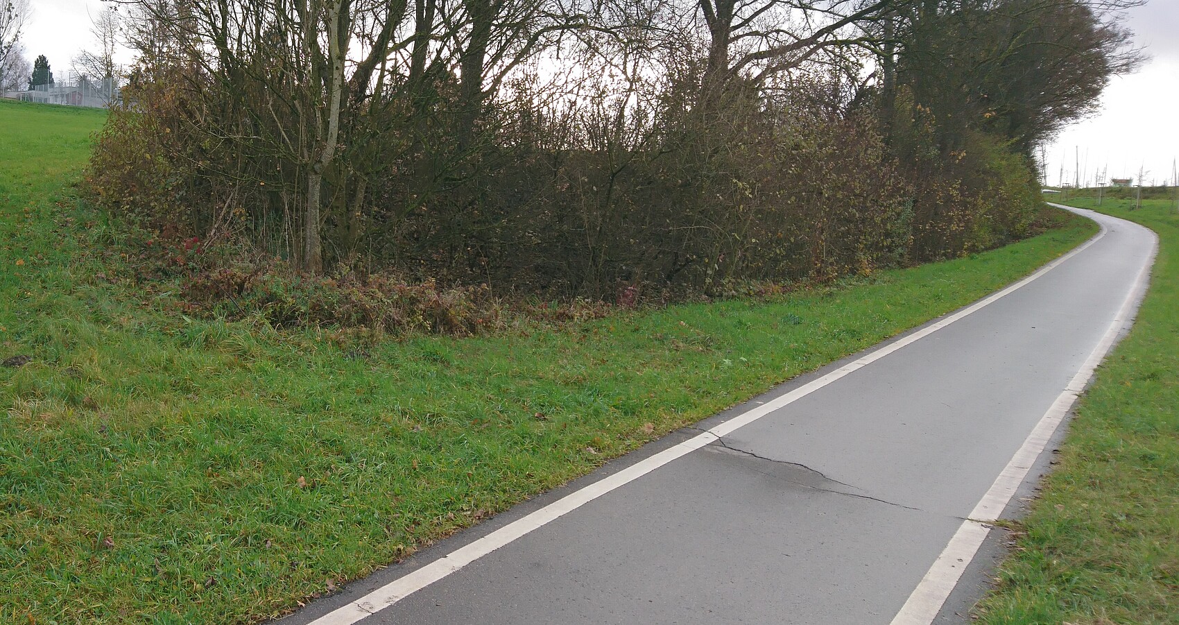 Das Foto zeigt den Radweg zwischen Hegenberg und Obereschach; links ein paar Büsche und eine Wiese