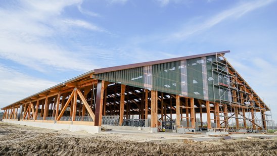 Moderner Milchviestall im Bau