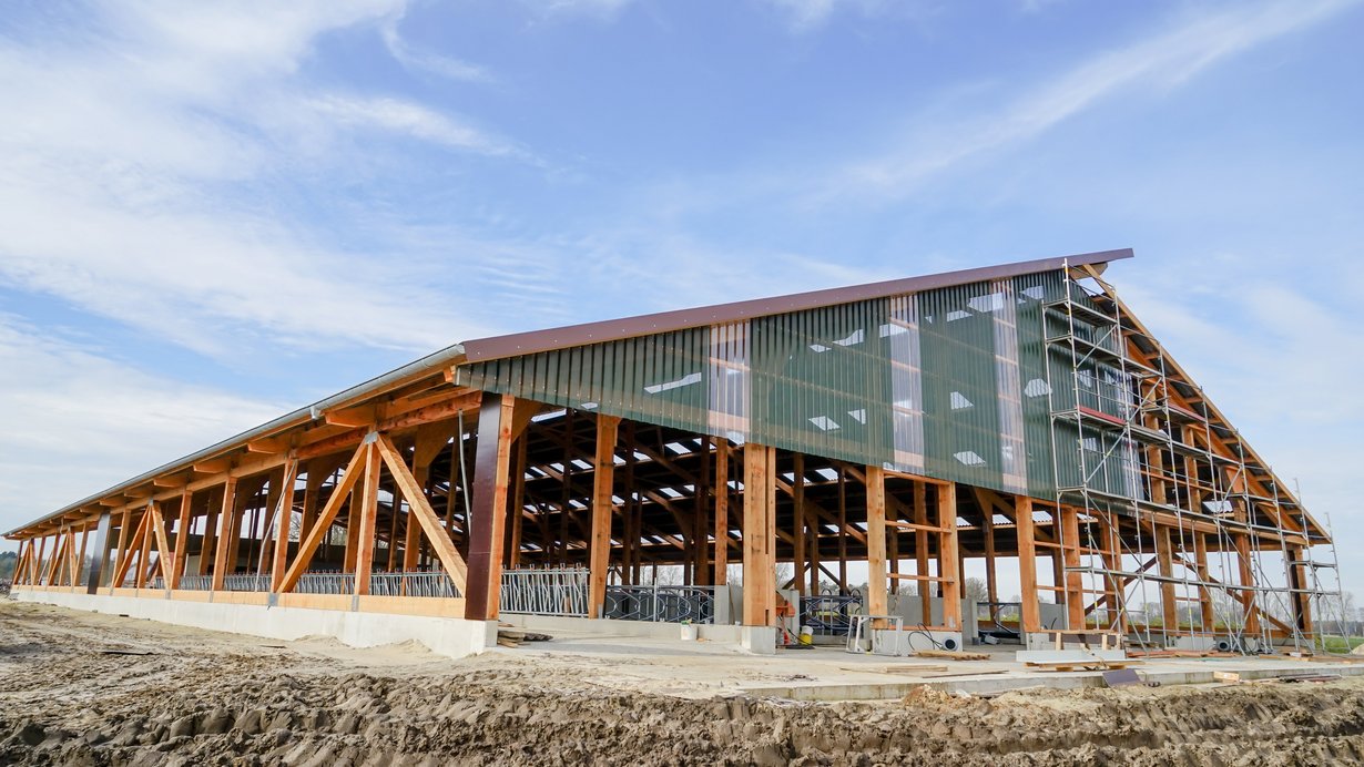 Moderner Milchviestall im Bau