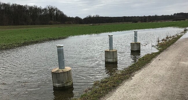 Drei Grundwasserpegel, die sich im Bereich einer mit Druckwasser überfluteten Geländesenke befinden. 