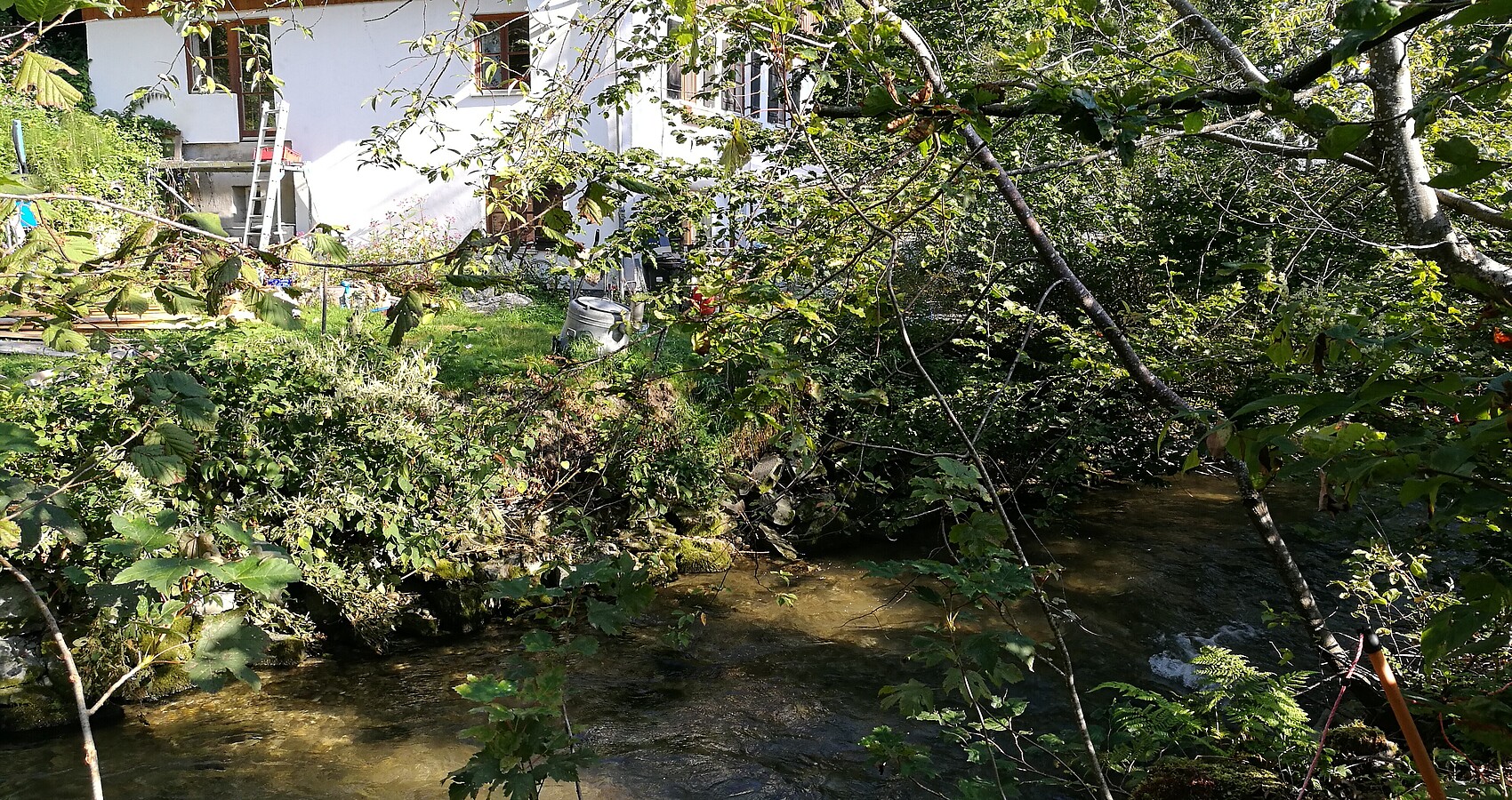 Man sieht die Eschach umrahmt von Büschen; im Hintergrund ein Haus