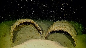 Verlorene Ladung am Seegrund: Zwei Holzfässer in den Tiefen des Bodensees 