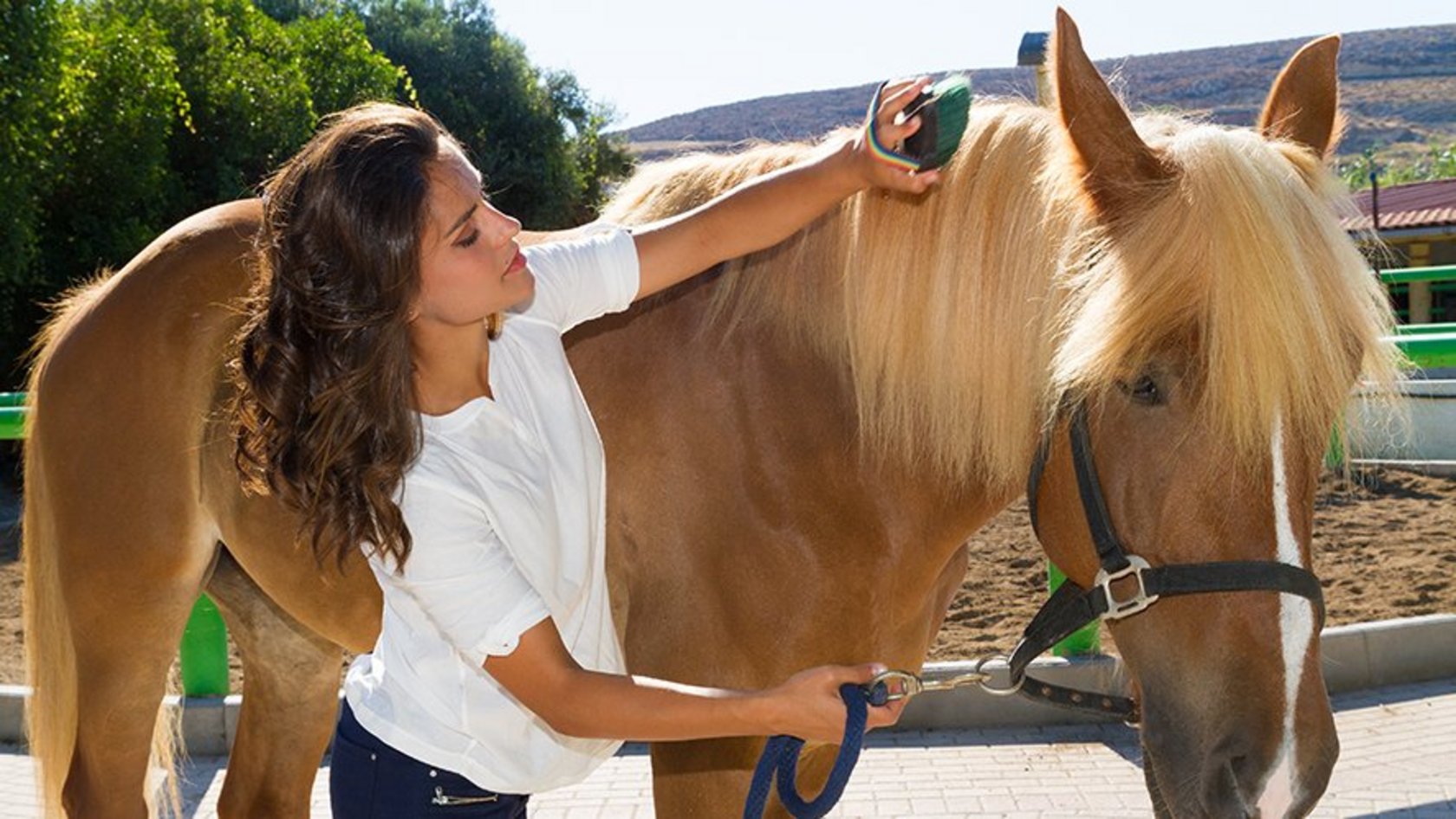 Junge Frau striegelt Pferd