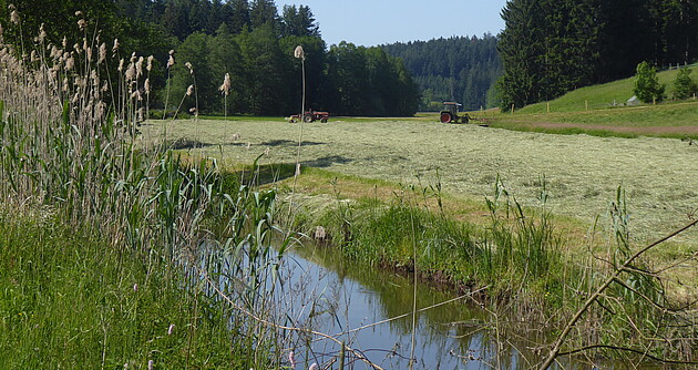 Naturschutzgebiet „Rottal zwischen Hüttenbühl und Buchengehren