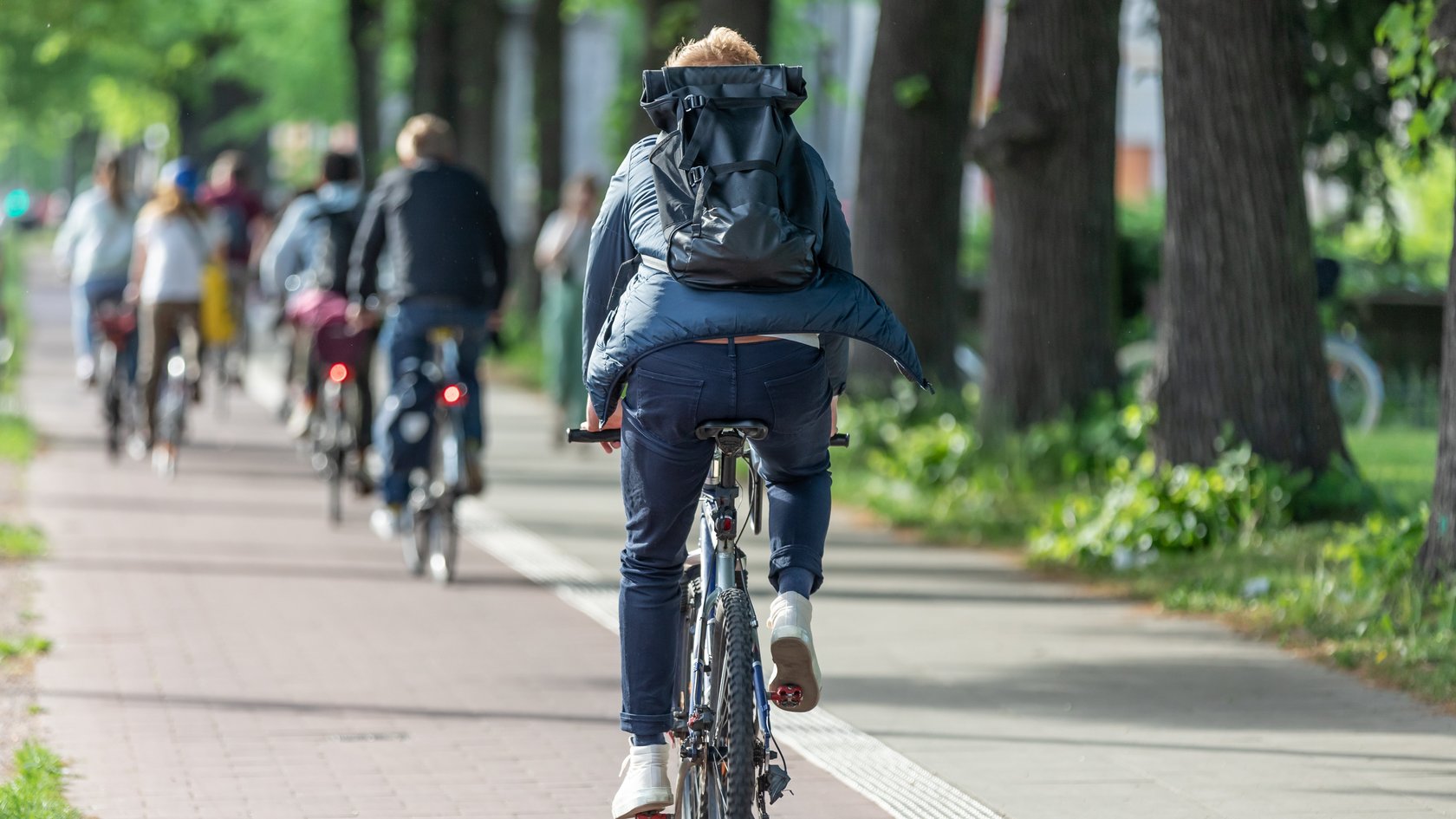 Mehrere Fahrradfahrende von hinten auf einem Radweg. Der Radweg verläuft in einer Stadt und ist von Bäumen gesäumt.