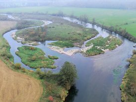 Zu sehen ist eine Drohnenaufnahme des renaturierten und strukturreich entwickelten Donauabschnitts bei Untermarchtal. In diesem Bereich ist die Donau aufgeteilt in mehrere Verzweigungen, was für viele Lebewesen einen attraktiven Lebensraum bietet.
