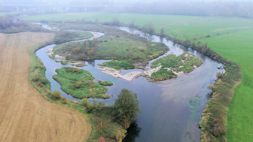 Zu sehen ist eine Drohnenaufnahme des renaturierten und strukturreich entwickelten Donauabschnitts bei Untermarchtal. In diesem Bereich ist die Donau aufgeteilt in mehrere Verzweigungen, was für viele Lebewesen einen attraktiven Lebensraum bietet.