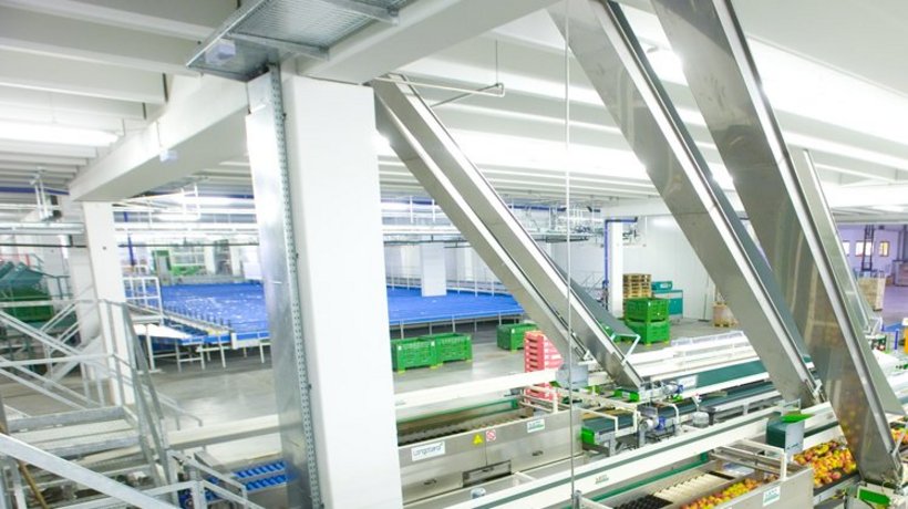 Blick auf Verpackungsanlagen für Äpfel