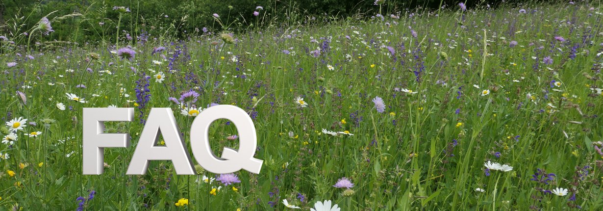 Schriftzug FAQ vor einer als Spenderfläche geeigneten artenreichen FFH-Mähwiese