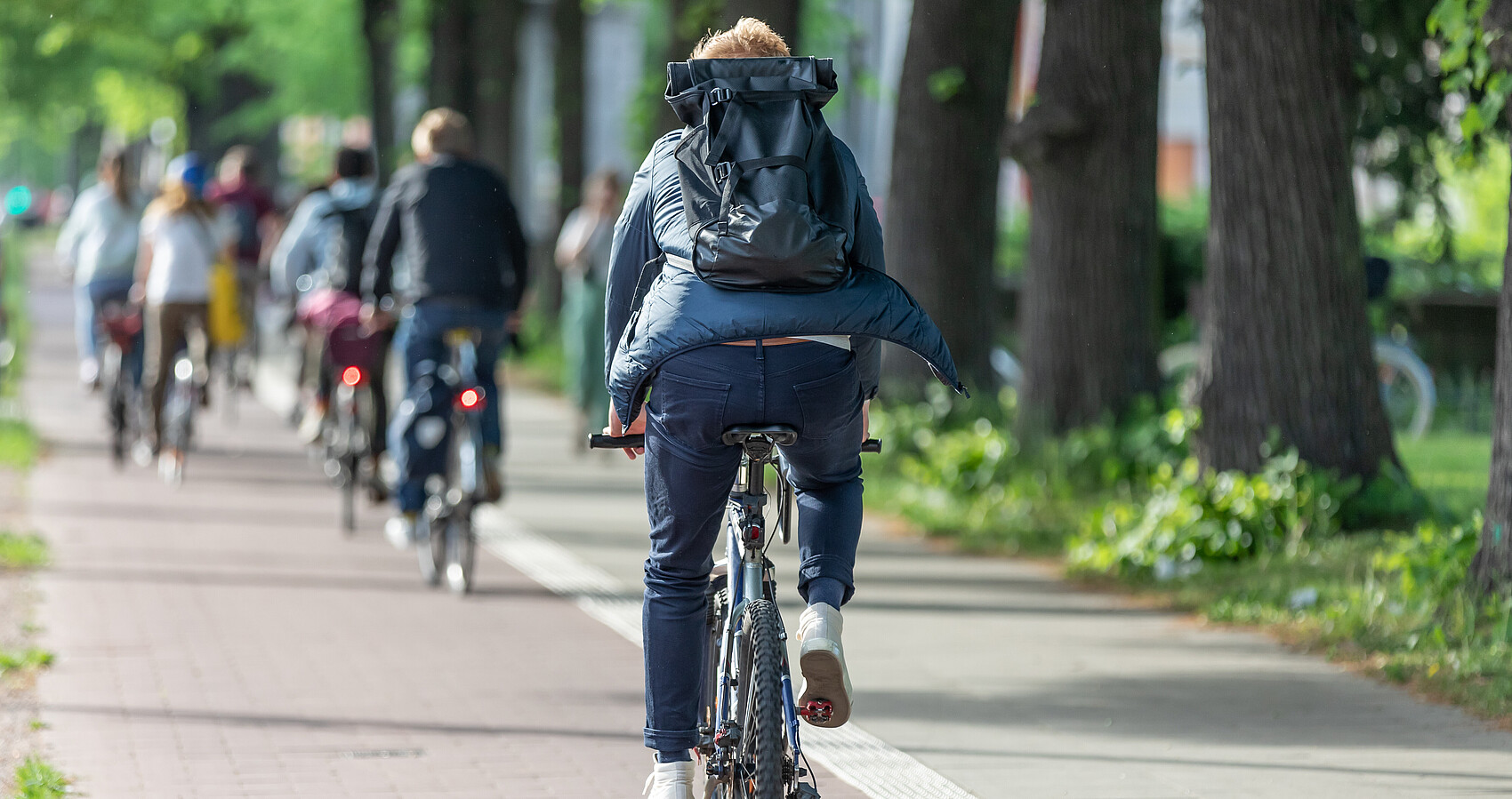 Bild zeigt Rückansicht eines Fahrradfahres mit Rucksack auf einem Radweg