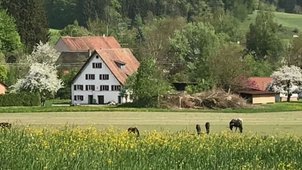 Das Geäude Mühlweg 15 in 88693 Deggenhausen liegt mitten im Grünen Wiesen und am Rande eines Waldes