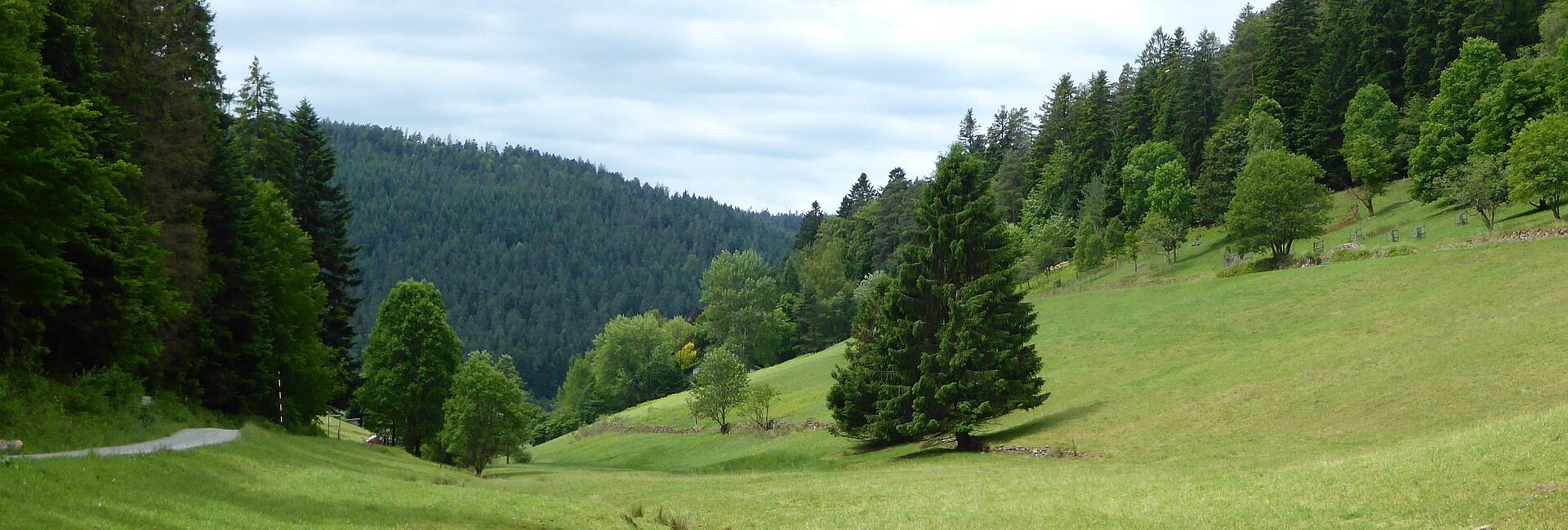 Nördlicher Talschwarzwald