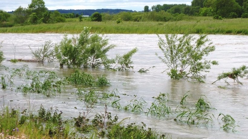 Überflutetes Gebiet