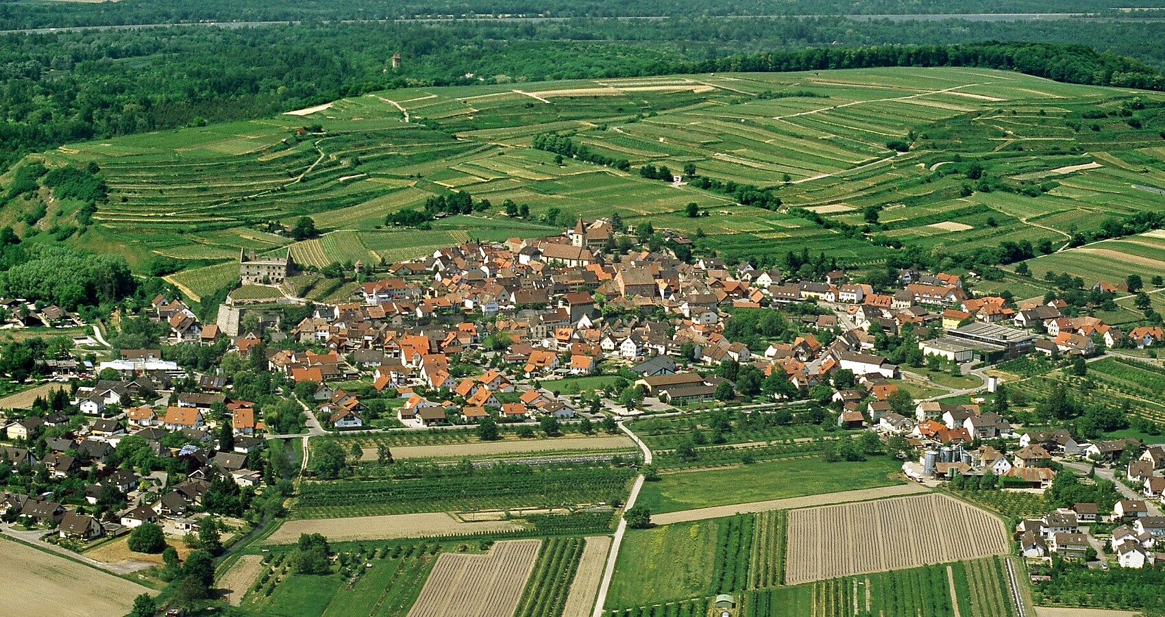 Luftbild von Burkheim