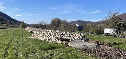 Ein neu angelegtes Habitat für Zauneidechsen, bestehend aus einer Aufschüttung größerer Steine, auf einer Wiese.