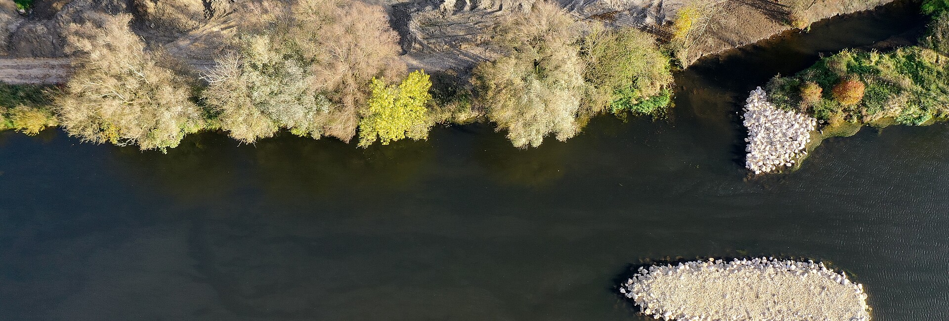 Renaturierung Donau Göggingen Ulm