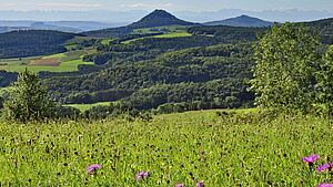 Landschaft Hegaualb