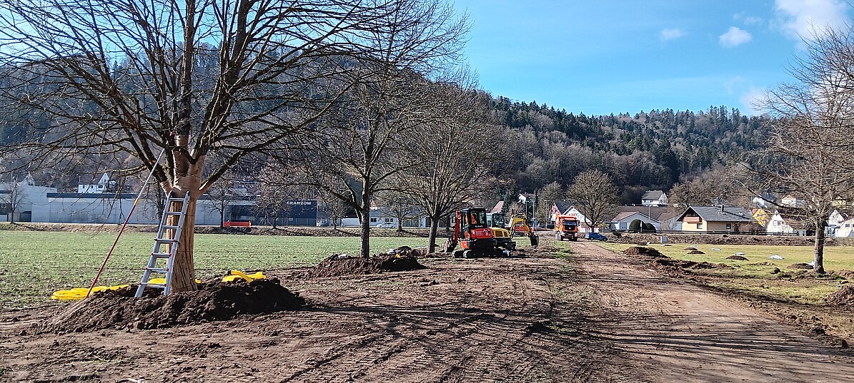 Ausgleichsmaßnahme A15 entlang Feldweg mit extensivem Saumstreifen