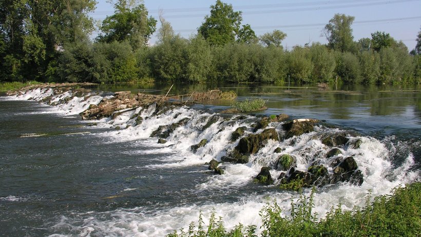 Elzmündung Faschinat