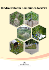 Vorschaubild: Biodiversität in Gemeinden fördern
