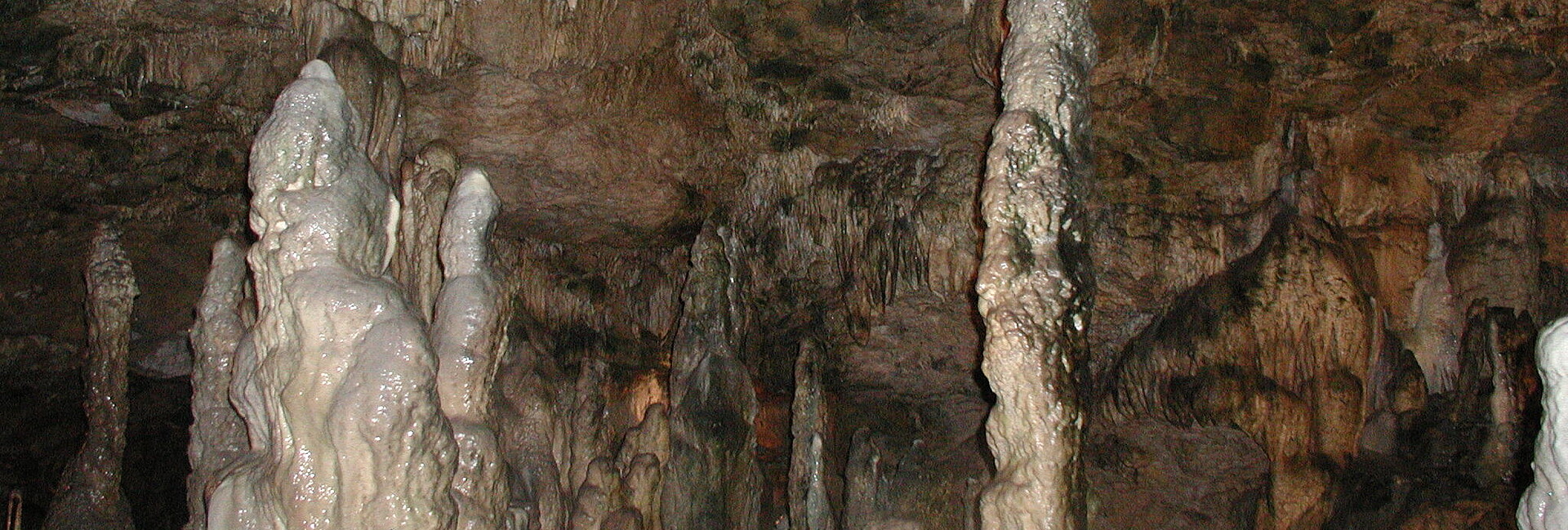 Blick in eine Höhle