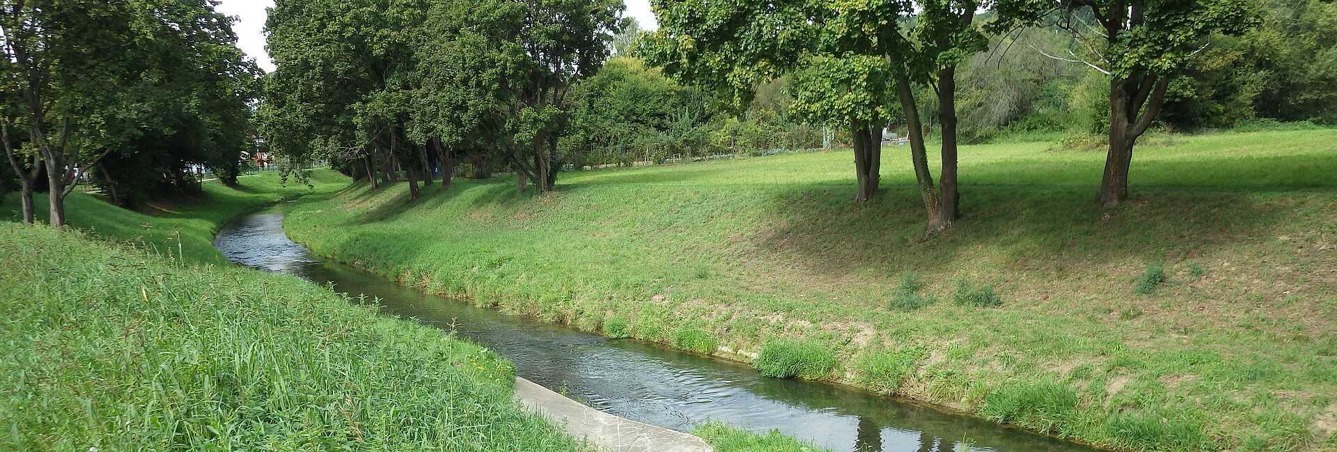 Die Pfinz in Berghausen. Das Gewässerbett der Pfinz ist von grasbewachsenen Böschungen begrenzt. Auf den Böschungen stehen abschnittsweise Bäume. Die Pfinz fließt gleichmäßig in ihrem immer gleich breiten Gewässerbett.