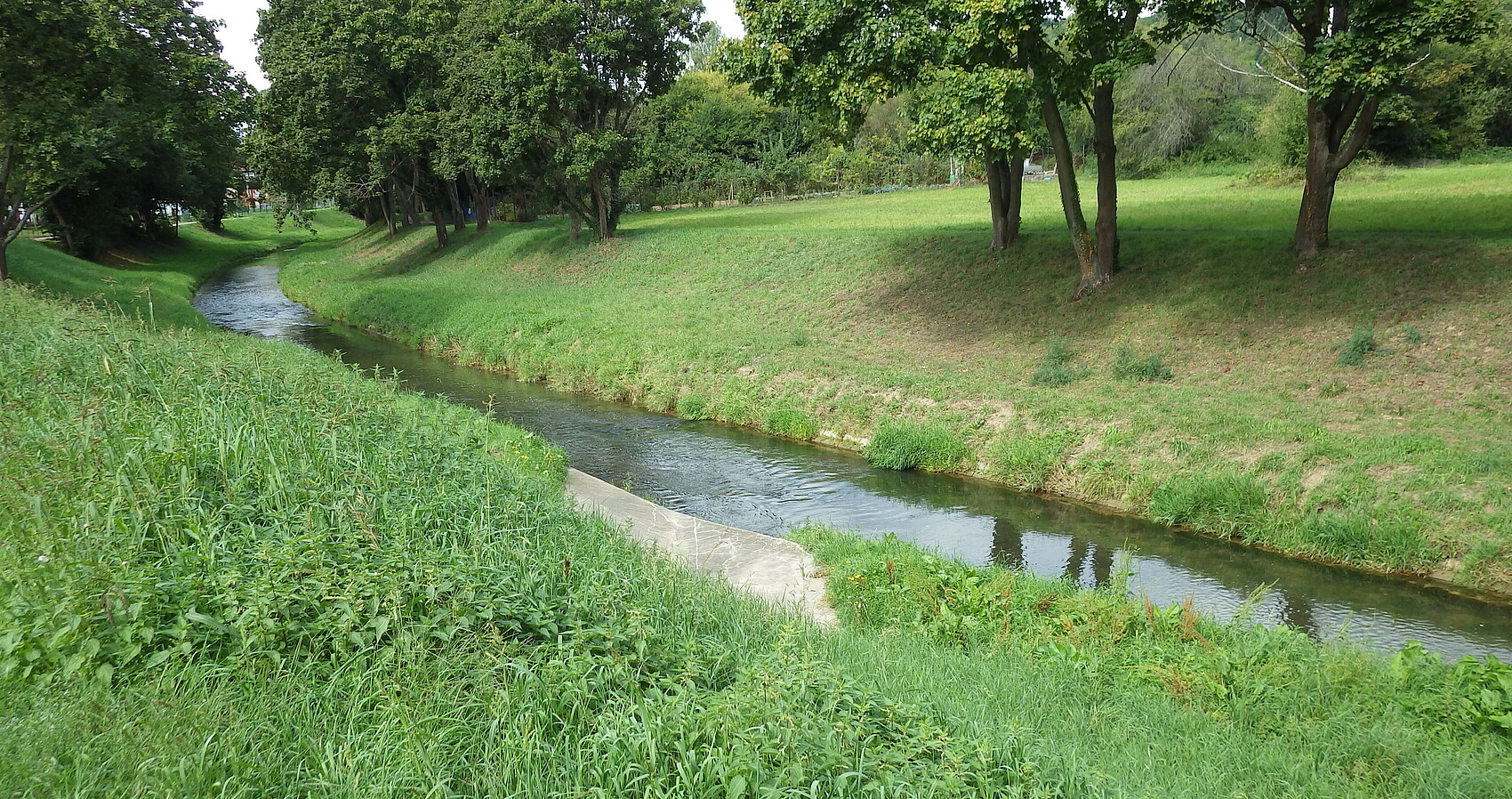 Die Pfinz in Berghausen. Das Gewässerbett der Pfinz ist von grasbewachsenen Böschungen begrenzt. Auf den Böschungen stehen abschnittsweise Bäume. Die Pfinz fließt gleichmäßig in ihrem immer gleich breiten Gewässerbett.