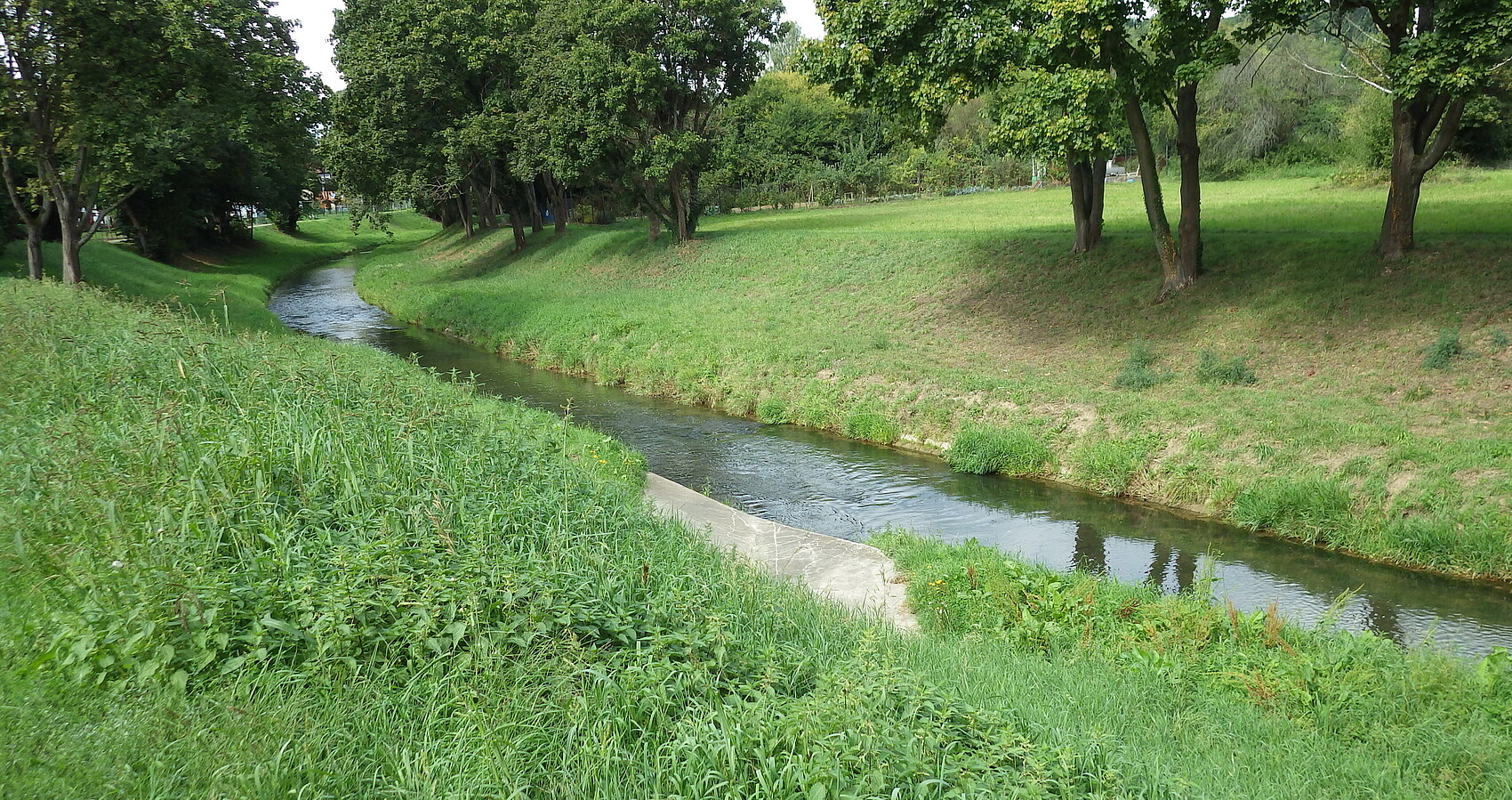 Die Pfinz in Berghausen. Das Gewässerbett der Pfinz ist von grasbewachsenen Böschungen begrenzt. Auf den Böschungen stehen abschnittsweise Bäume. Die Pfinz fließt gleichmäßig in ihrem immer gleich breiten Gewässerbett.