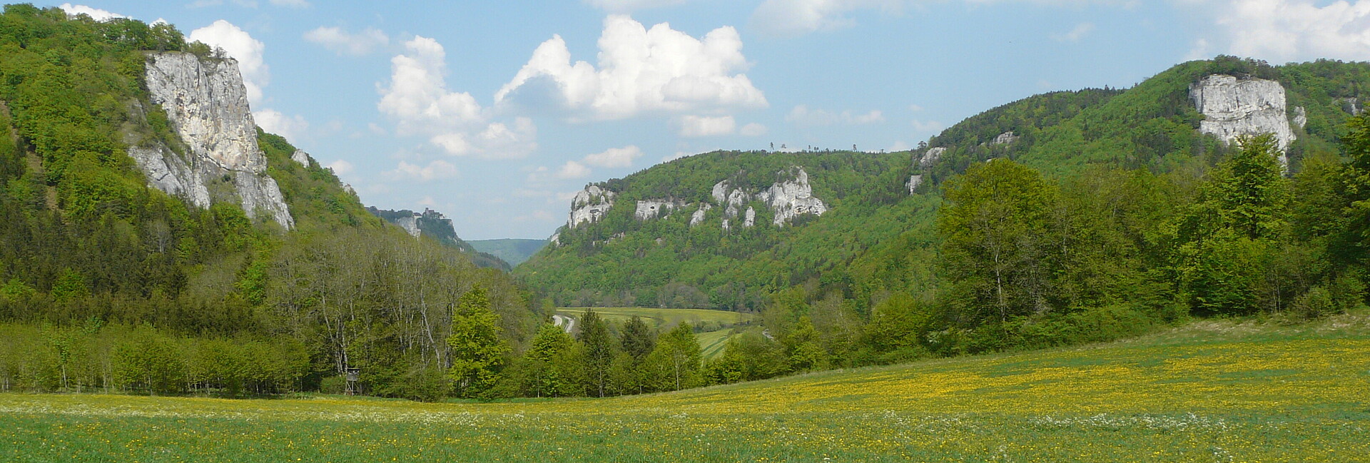 Blick auf Wiesen und bewaldete Felshänge im Oberen Donautal