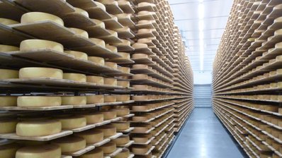 Lager mit Bergkäse-Laibe