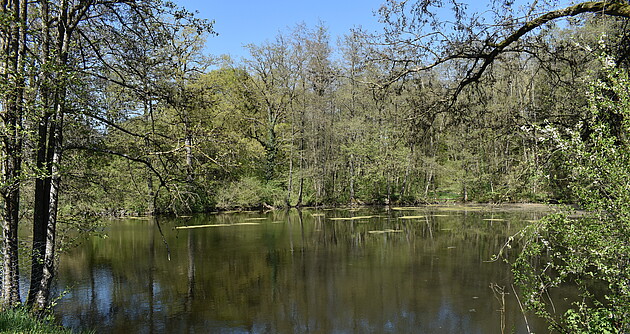 Der idyllische obere Kirchsee im Naturschutzgebiet Hammersbachtal