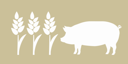 Symbolbild Anbau-Tierhaltung - Getreide und ein stilisiertes Schwein auf beigem Untergrund