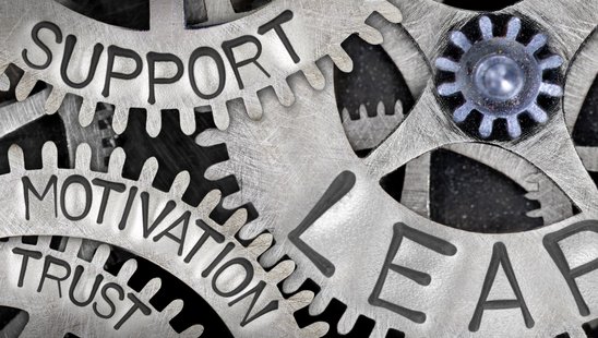 Zahnräder Lern & Lead greifen ineinander