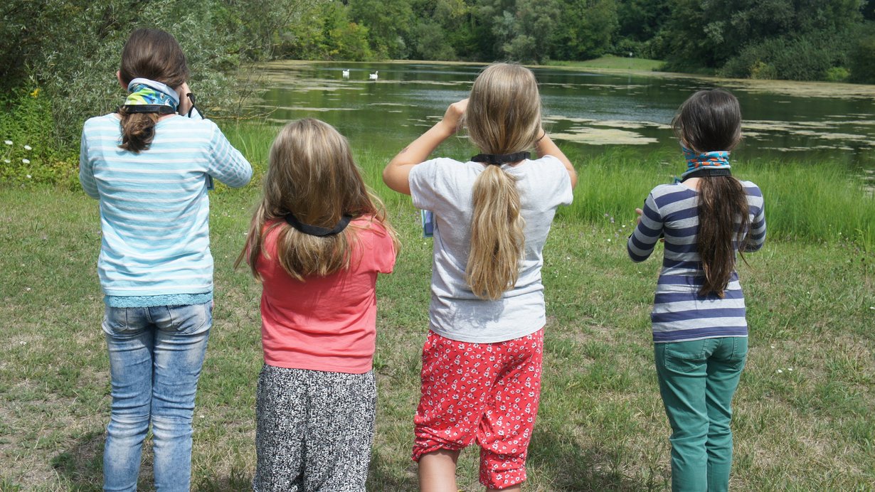 Vier Mädchen beobachten einen Weiher mit Ferngläsern