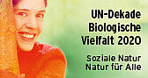 Plakat der Auszeichnung des Ökomobils zum Projekt für die UN-Dekade Biologische Vielfalt