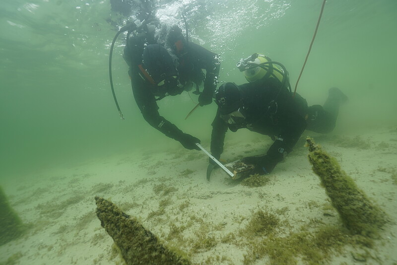 Taucher bei der Untersuchung von Pfahlreihen in der Flachwasserzone um die Insel Reichenau