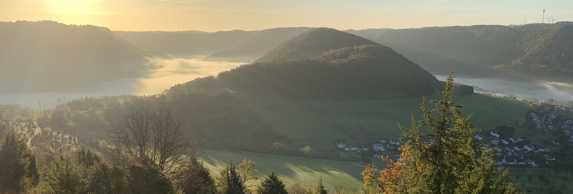 Wacholderheide im Naturschutzgebiet Haarberg-Wasserberg mit Blick auf den Weigoldsberg und das Obere Filstal