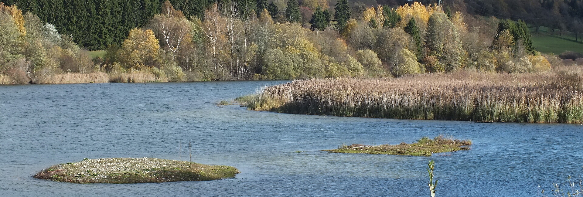 Blick auf ein Gewässer im Natura-2000-Gebiet