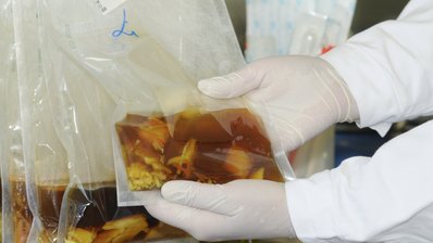 Lebensmittel werden im Labor untersucht